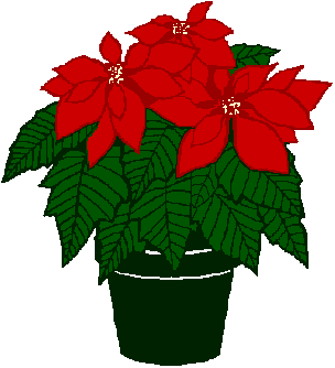 pointsettia.gif